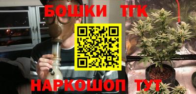 дмт Обь
