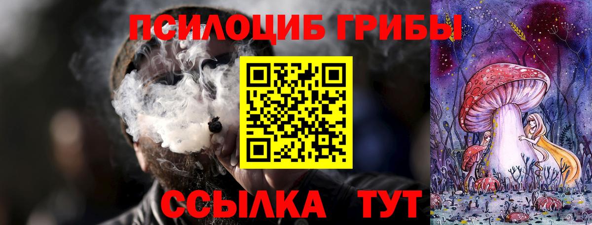 Волхов  Галлюциногенные грибы Magic Shrooms  Вход с VPN 